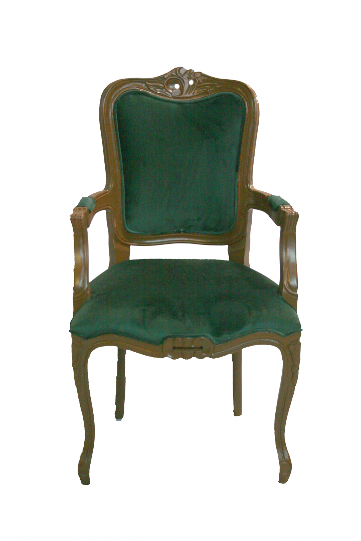 POLTRONA MARQUEZA VELUDO MUSGO 